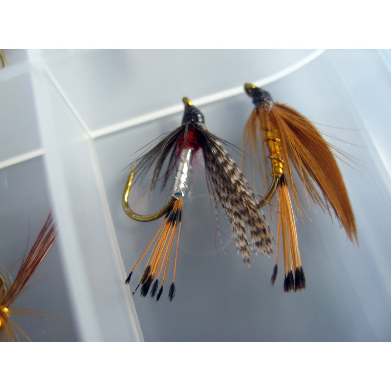 BestCity Fly Fishing for Trout BARBLESS MIXED SEASON SELECTION 20