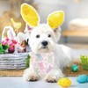Easter Dog Bandanas Puppy Scarf - Easter Eggs Bunny Peeps