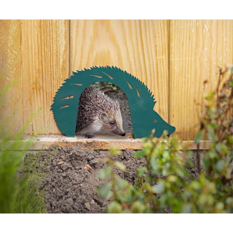 Fallen Fruits Hedgehog Gateway Small Mammal Friendly Gate Fence Crossing
