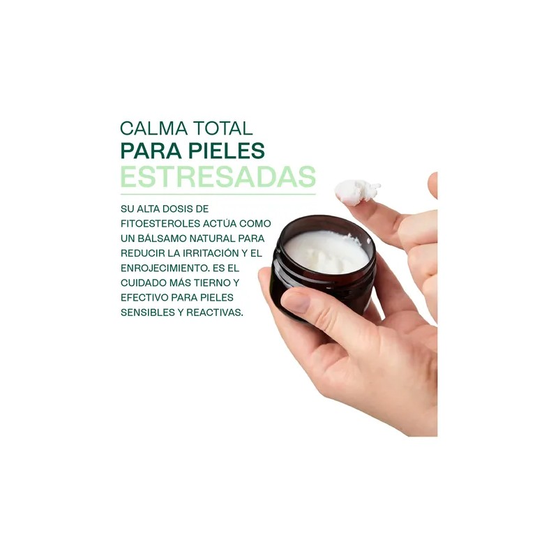 Manteca Amazonica De Cupuacu Copoasú Natural 500g