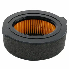 BMP Air Filter For Troy Bilt 21A-39M8711 Colt FT XP Tiller
