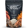 Hongos Power Mix 7x en Polvo 100g Melena de Leon,