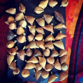 Soy Danzante Chachayotes Hueseras Ayoyotes Sz standard Medium Large