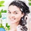 BERGMAN KELLY Shampoo Travel Amenities Hotel Toiletries In Bulk Guest