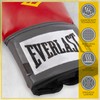 Everlast Pro Style Training Gloves (Red, 14 Oz.)