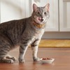 Meow Mix Tenders in Sauce Wet Cat Food, Tuna &