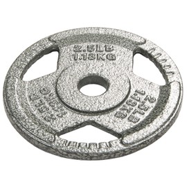 HulkFit 1-inch Iron Plate for Strength Training, Weightlifting and Crossfit, Single (2.5 Pounds), Silver