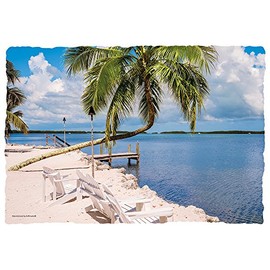 Hoffmaster 311107 Gulf View Placemat, 100% Recycled Paper, 9-3/4" x 14", Printed, Large (Pack of 1000)