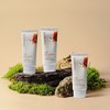 Bontree 본트리 베리에센스 선블럭 50ml 2개 / SPF50+PA++++ Bontree Berry