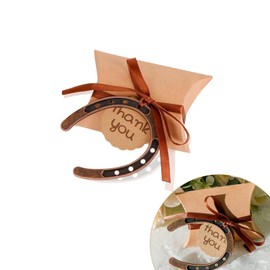 Hufeisen Glücksbringer, Einzugsgeschenke Wohnung, Glücksbringer Silvester, Neujahrsglücksbringer mit kleiner Schachtel, für Geburtstag, Einzug, Richtfest, zur Hochzeit, Taufe oder Geburt