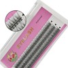 ADIYA Fishtail Eyelash Extensions 8-14mm Single Cluster Fans Eyelashes Fashion