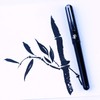 Pentel Pocket Brush Pen Brush Pigment Refillable Black Ink 1
