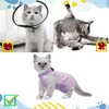 RUGBOL Cat Recovery Suit, Cat Surgery Recovery Suit Cat Baby