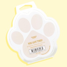 Companion Candles Wax Melt - "You Got This!" Citrus & Tropical Fruits, Pet-Friendly & Non-Toxic, Luxury-Level Scents, Benefits Animals in Need, Hand-Poured in The USA (3oz)
