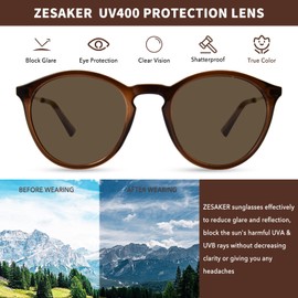 ZESAKER Round Classic Sunglasses for Women Men Vintage Style UV400 Lens Sunglasses (Brown)