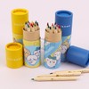 Hottracks Chiikawa Monjakgwi 12-Color Mini Wooden Colored Pencils (Random Ship) / 치이카와 먼작귀 12색 미니 원목 색연필 (랜덤발송)