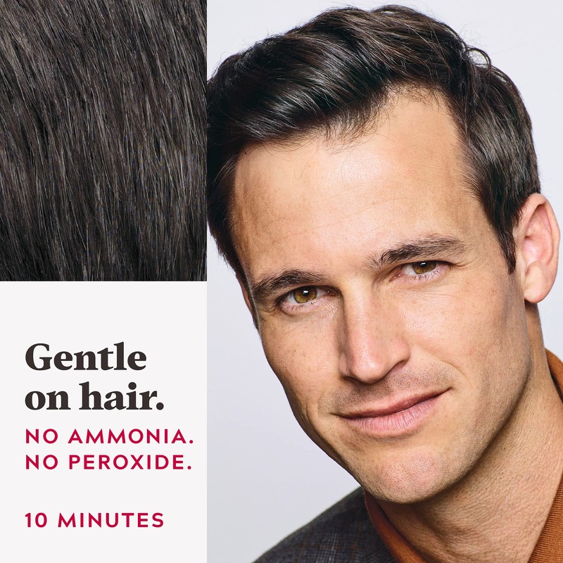 Just For Men Easy Comb-In Color (Formerly Autostop), Gray Hair