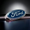 Ford Grille or Tailgate Emblem Navy Dark Blue Oval Logo