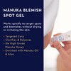 Manuka Health Blemish Spot Gel mit 8% Manuka Honig, Manuka