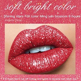 EUBUY lápiz Labial líquido, Mate a Brillo Diamante Brillante Brillo de Labios, Impermeable De Larga duración Color de Labios líquido para Mujeres y...