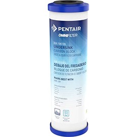 Pentair OMNIFilter CB7 Carbon Water Filter, 10-Inch, Premium Under Sink Dual Function Carbon Block Taste & Odor Replacement Cartridge, 10" x 2.5", 10 Micron,White