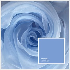 Megachest 145CM Wide Soft Organza Dress Fabric Fancy Costumes Decorations 50 Colors(Little boy Blue,10 Meters)