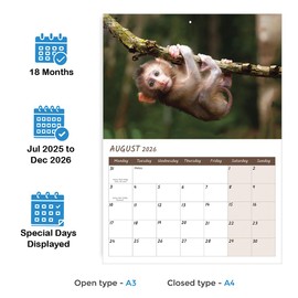 Baby Animals Calendar 2025 A4 18 Month to View Jul 2025 to Dec 2026 Wall Calendar 2025 UK Perfect for Home, Office, School, Holidays and Planning Papa Prints