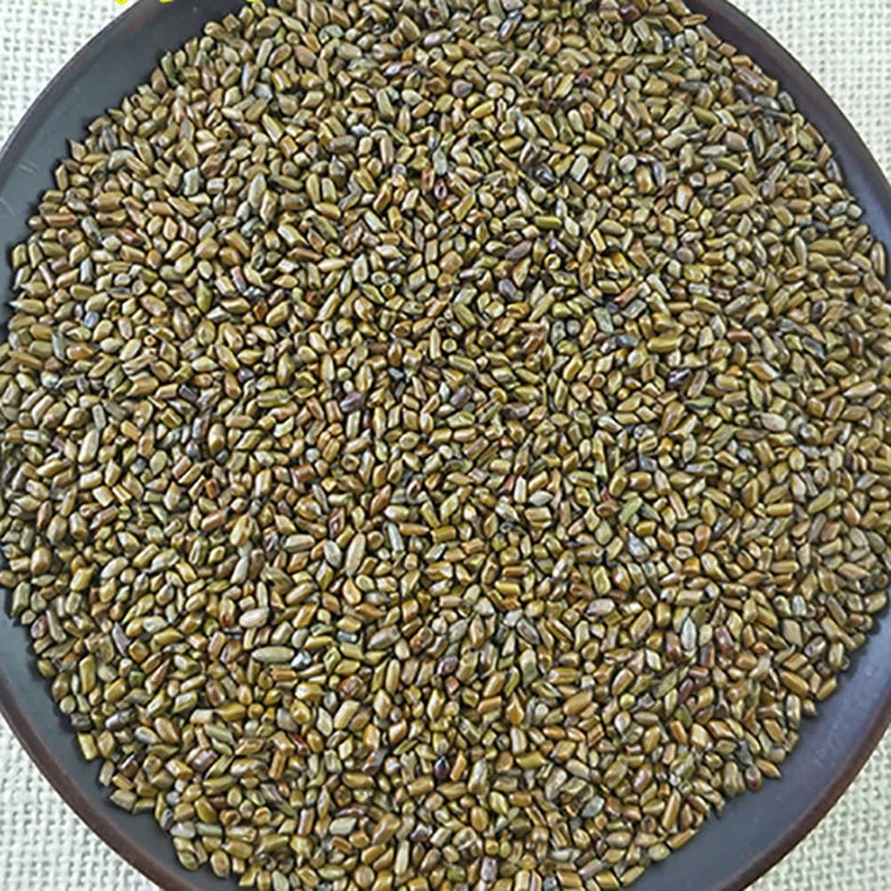 Semen Cassiae Jue Ming Zi (100g(3.53oz))