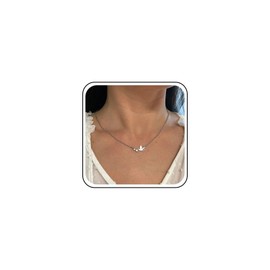 Inateannal Boho Crystal Bird Chain Necklace Silver Bird Pendant Necklace Small Bird Choker Necklace Rhinestone Hummingbird Necklace Retro Necklace Jewellery for Women, Zinc, No Gemstone