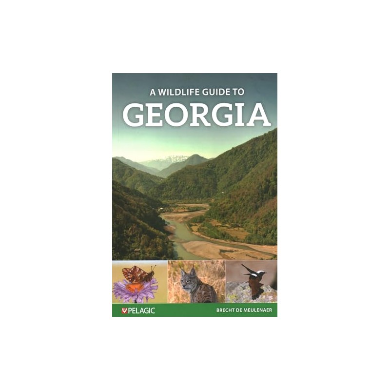A Wildlife Guide to Georgia