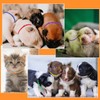 tonyg-p 12pcs Puppy ID Collars Whelping Collars Adjustable Puppy ID