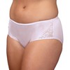 Shadowline Women's Underwear Nylon Hipster Panty with Lace Insert 3