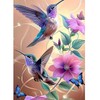 AIRDEA Hummingbird Diamond Art Painting Kits for Adults,2 Birds Diamond
