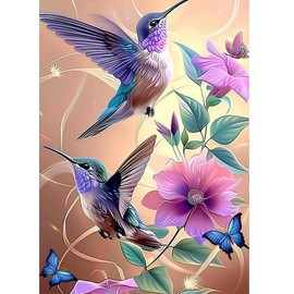 AIRDEA Hummingbird Diamond Art Painting Kits for Adults,2 Birds Diamond Dots Kits for Beginner,Peinture Diamant Kits 30x40 cm