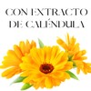 OLEUM VITAE Body Lotion. Crema Corporal Con Aceite Esencial De