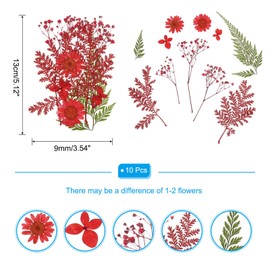 PATIKIL Dried Pressed Flowers, Real Pressed Flowers Dry Leaves for Scrapbook Supplies Card Making Resin Jewelry Making Soap Candle DIY Crafts, Red