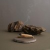 Tree of Life Palo Santo Sticks, Pack of 5
