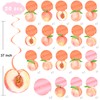 Peach Party Hanging Swirls Peach Birthday Party Supplies 20PCS Sweet