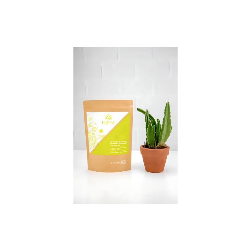 Pptidos de Colgeno Hidrolizado Freya con Matcha y Biotina 330g