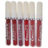 Kit de lápiz Labial Mate a Prueba de Agua Maquillaje