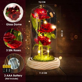 Axlksia Beauty and The Beast Rose Gift for Her, Glass Rose for Mom, Red Silk Rose Lasts Forever in A Glass Dome, Enchanted Red Silk Rose Gift for Mom Mother's Day Anniversary Decorations