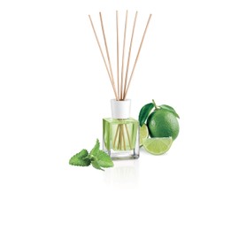 Tescoma Fancy Home Diffusor von Essenza Mojito, grün, 8.8 x 7.6 x 25.2 cm