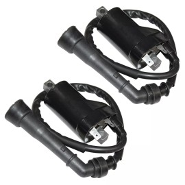 Caltric 2 Ignition Coils for Hyosung GV650 GV 650 Aquila Motorcycle