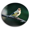 1 x Round MDF Magnet - Goldfinch Bird Small Gold