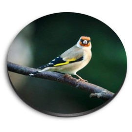 1 x Round MDF Magnet - Goldfinch Bird Small Gold Finch 16219