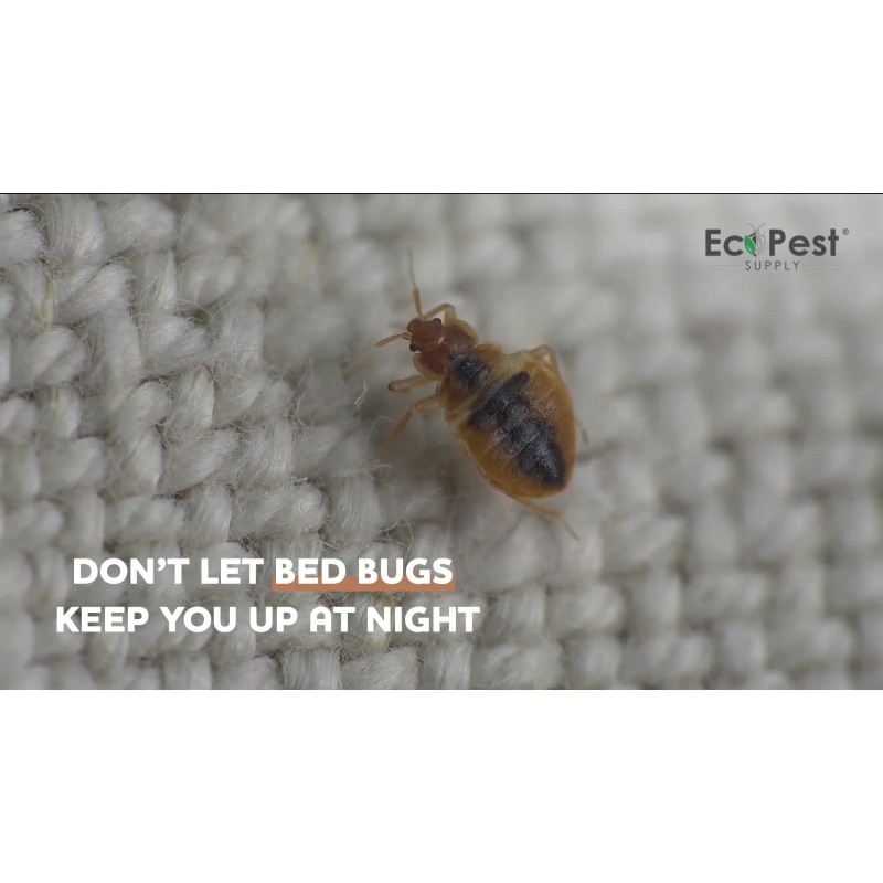 EcoPest Bed Bug Blocker (Pro)™ — 12 Pack | Interceptors,