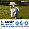 Probiotics for Dogs and Digestive Enzymes - 170 Dog Probiotics