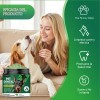 Limpieza De Dientes Para Perros - Pasta Para Perros 2