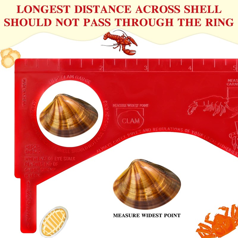 Kathfly 4 Pcs Dungeness Crab Gauge Measure Clam Measuring Tool