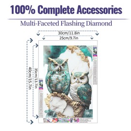 JATOK 5D Diamond Painting Kits for Adults, Owl Diamond Art Kits Full Round Drill Crystal Rhinestone Crafts, DIY Gem Art Picture for Gift Home Wall Decor 30x40cm/12x16in